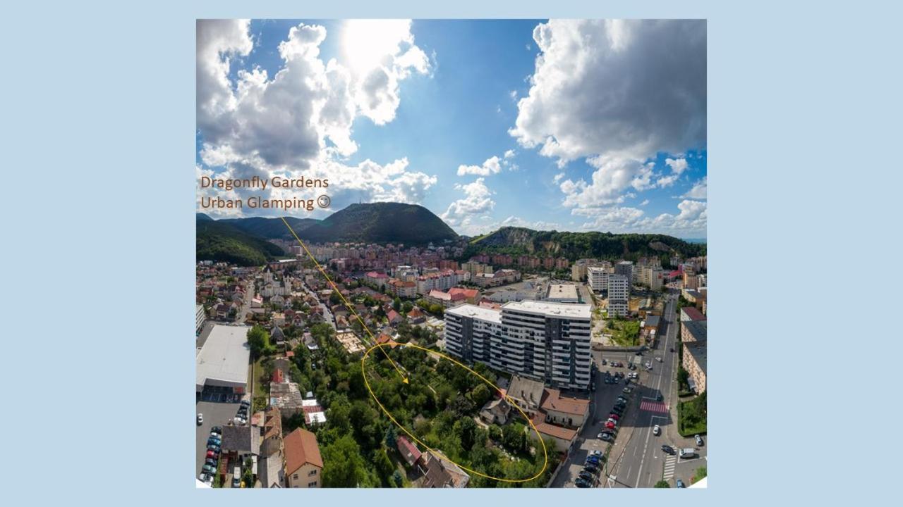 Dragonfly Gardens - The Wagons Hotel Brasov Exterior photo