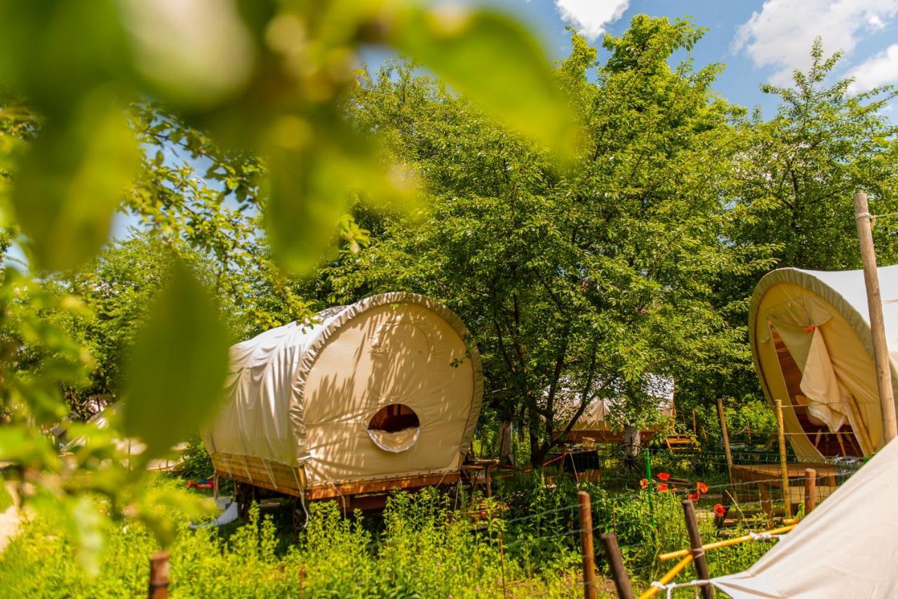 Dragonfly Gardens - The Wagons Hotel Brasov Exterior photo