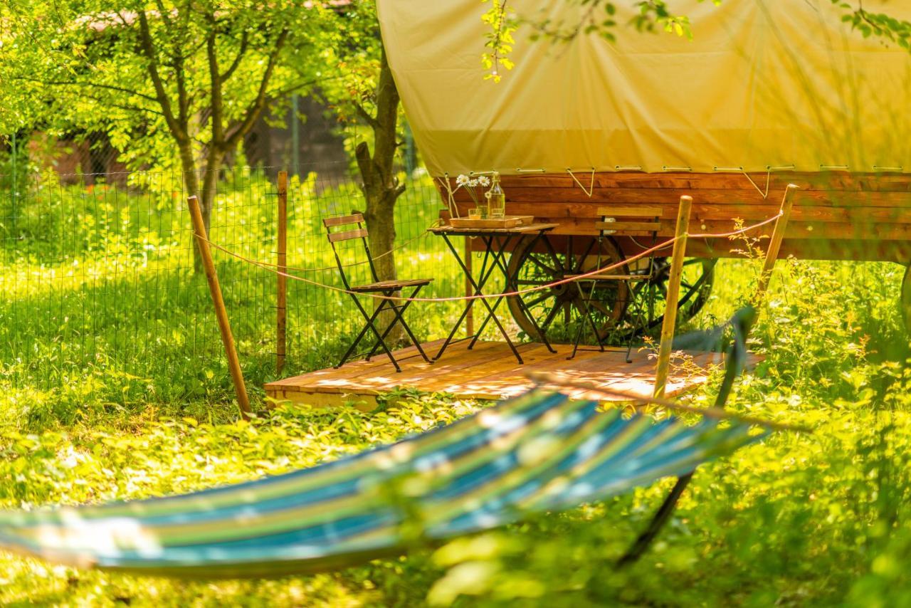 Dragonfly Gardens - The Wagons Hotel Brasov Exterior photo