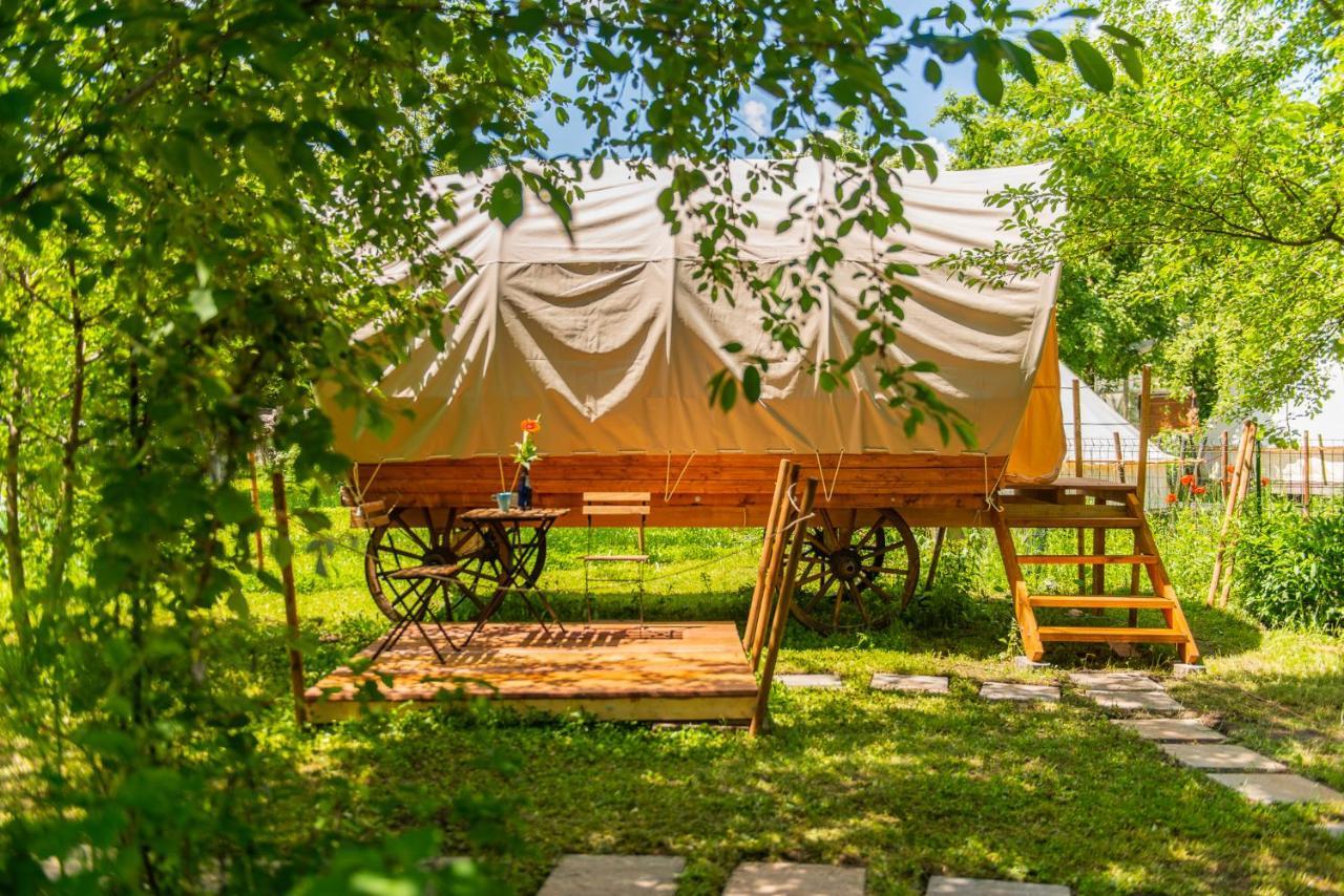 Dragonfly Gardens - The Wagons Hotel Brasov Exterior photo