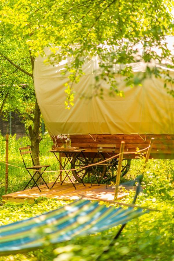 Dragonfly Gardens - The Wagons Hotel Brasov Exterior photo