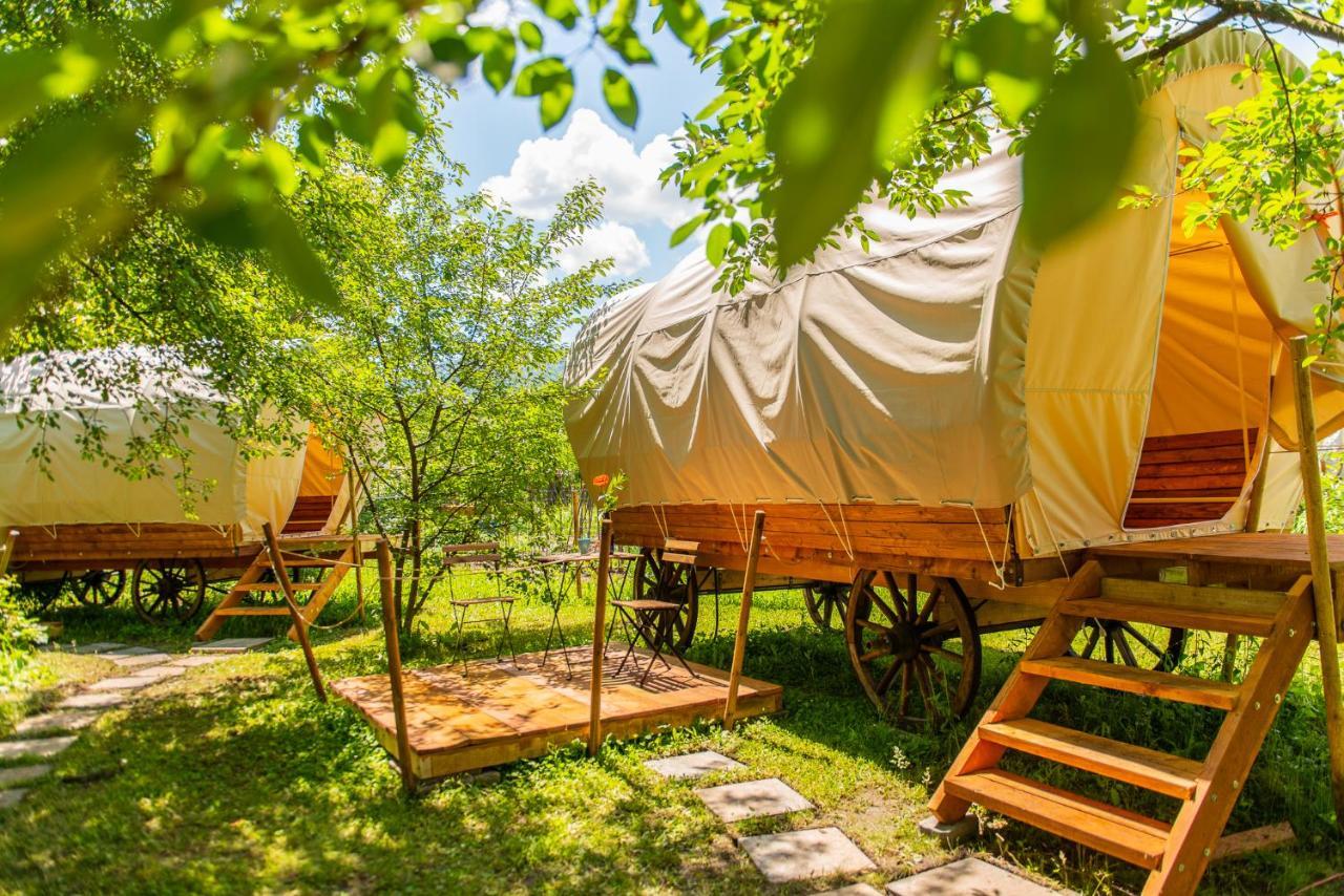 Dragonfly Gardens - The Wagons Hotel Brasov Exterior photo