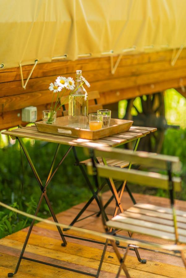 Dragonfly Gardens - The Wagons Hotel Brasov Exterior photo