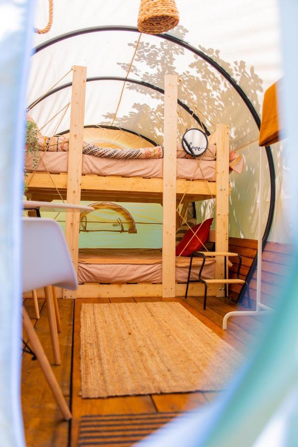 Dragonfly Gardens - The Wagons Hotel Brasov Exterior photo