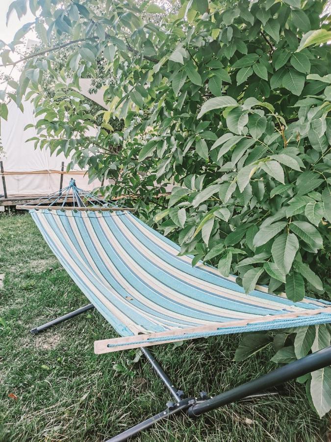 Dragonfly Gardens - The Wagons Hotel Brasov Exterior photo