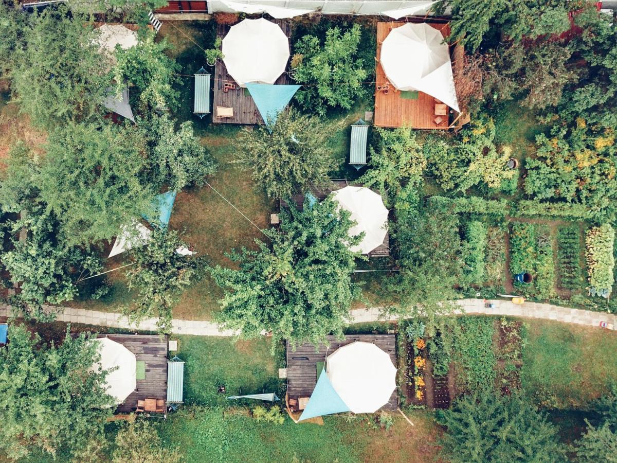 Dragonfly Gardens - The Wagons Hotel Brasov Exterior photo