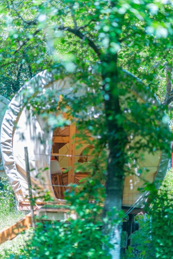 Dragonfly Gardens - The Wagons Hotel Brasov Exterior photo