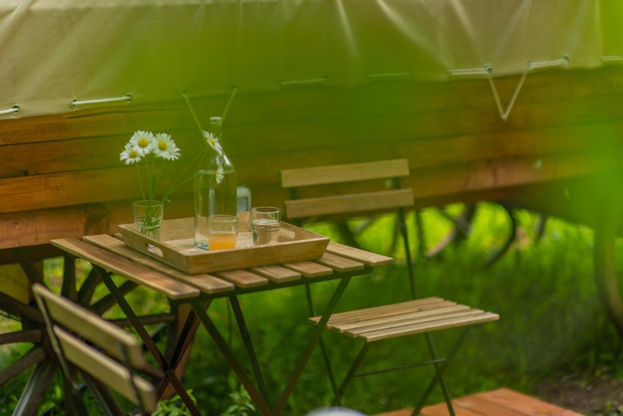 Dragonfly Gardens - The Wagons Hotel Brasov Exterior photo