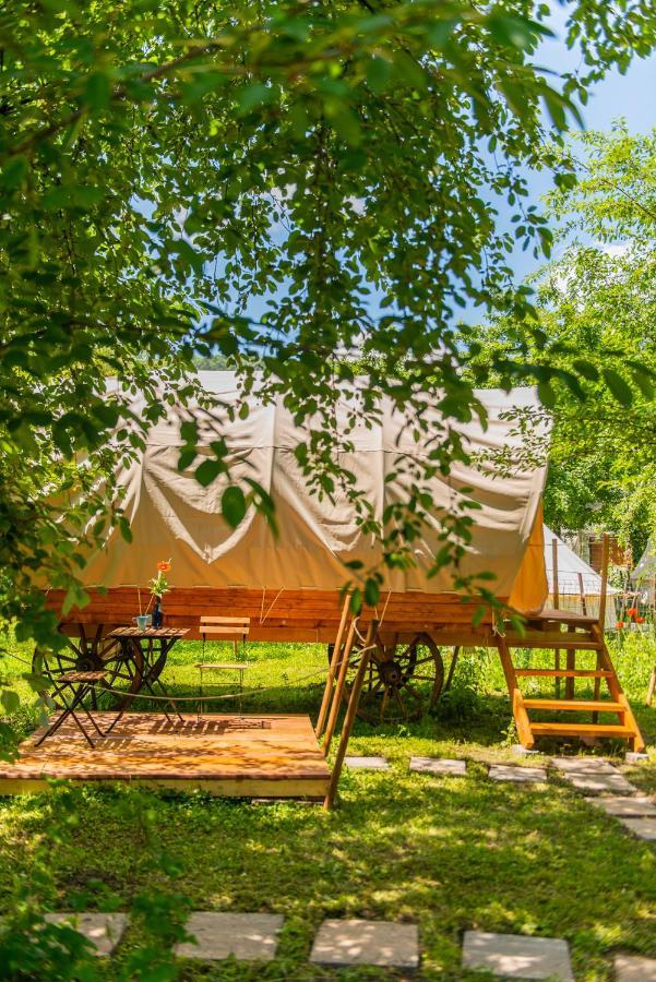 Dragonfly Gardens - The Wagons Hotel Brasov Exterior photo