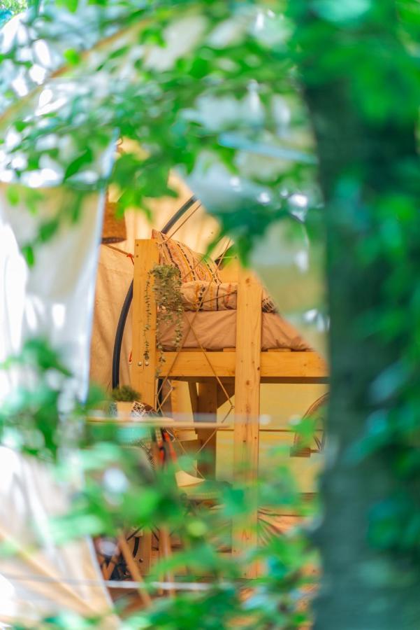 Dragonfly Gardens - The Wagons Hotel Brasov Exterior photo