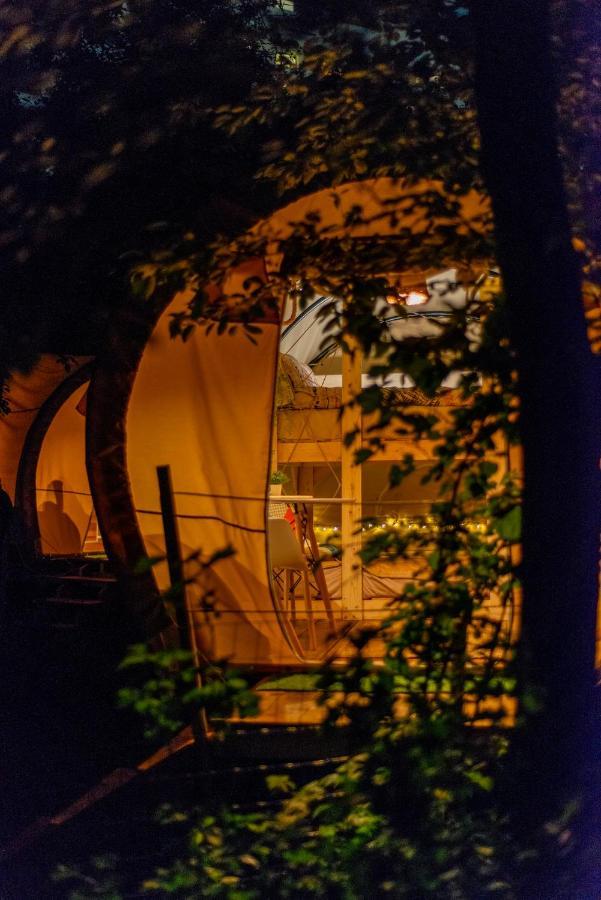 Dragonfly Gardens - The Wagons Hotel Brasov Exterior photo