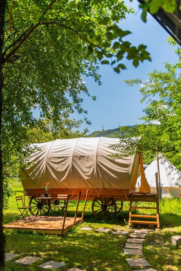 Dragonfly Gardens - The Wagons Hotel Brasov Exterior photo