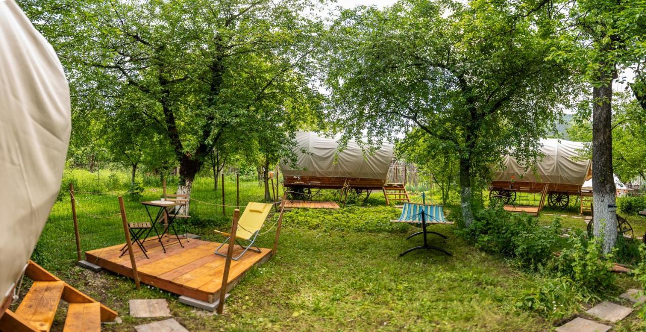 Dragonfly Gardens - The Wagons Hotel Brasov Exterior photo